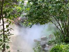 -北京西山国家森林公园