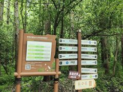 -同里国家湿地公园