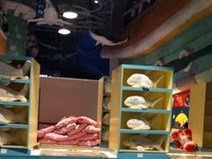 -烟台海昌鲸鲨海洋公园