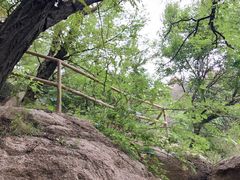 -嵖岈山风景区