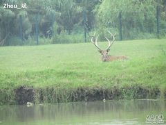 -溱湖国家湿地公园