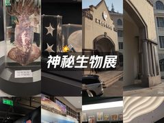 -青岛海滨风景区