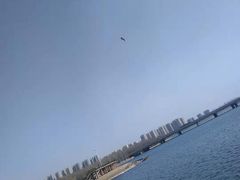 -丁香湖公园
