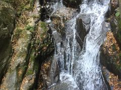 -藏龙百瀑风景区