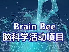 -新航道雅思托福·留学·考研培训(人民广场校区)
