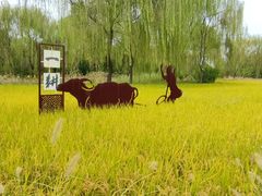 -北坞公园