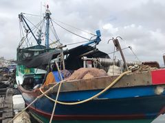-蓝湾碧波·老字号·疍家非遗海上餐厅