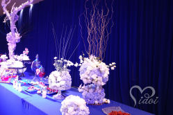 -IDOI婚礼策划·IDOIWEDDING