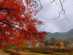 -塔川景区