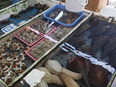 -南沙十九涌渔人码头-南门