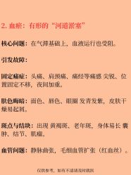 -玛莲朵·海菲秀冰珀科