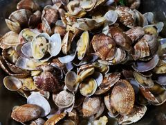 -前海沿·青岛菜(大拇指广场石老人店)