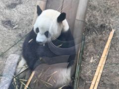 -全聚德(蓝山店)