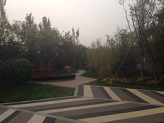 -武清南湖绿博园