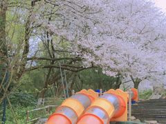 -杭州少年儿童公园