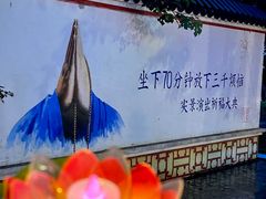 -印象普陀