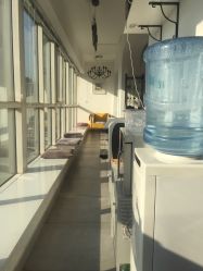 -净漪造型 PURE RIPPLE