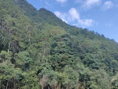 -姑婆山旅游区