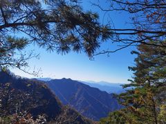 -王顺山国家森林公园