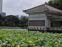 -荔湾湖公园