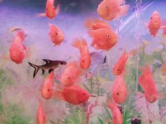 -清真悦宾楼食府(海湖店)