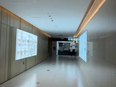 -布瑞琳洗衣(望京万象汇店)