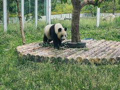 -西安秦岭野生动物园