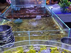 -聚盛源蒸汽海鲜火锅烤肉自助(巨川金海岸购物广场店)