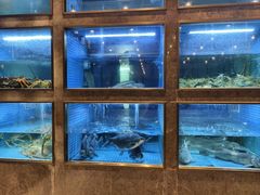 -湖锦酒楼·旗舰店(三阳总店)