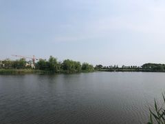 -杭州湾海上花田景区
