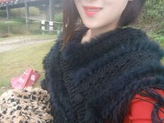 android_upload_pic-美兰湖景区