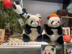 -轩客会(熊猫书店)