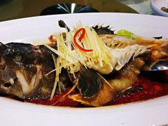 小龙胆-鞍山大白鲨美食酒店