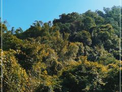 -大雁山风景区