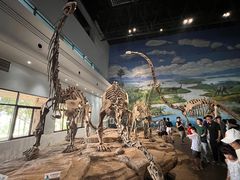 -自贡恐龙博物馆
