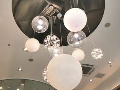 -飞行喵MR PILOT|猫舍·猫咖(静安大融城店)