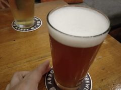 -Arrow Factory Brewing箭厂啤酒