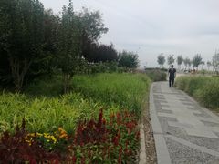 -东疆建设开发纪念公园