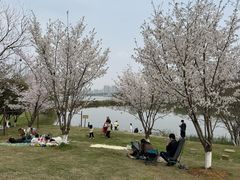 -盘龙城遗址博物院