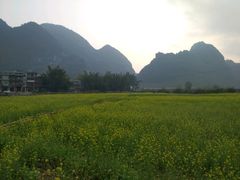 -靖西鹅泉风景区