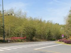 -南京市无想山景区