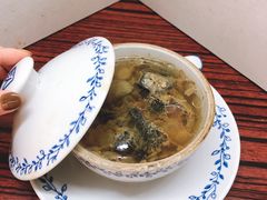 -達揚原味燉品(文明路店)
