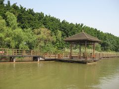 -大湾区中央湿地公园