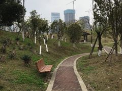 -桂溪生态公园