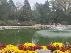 -香山公园