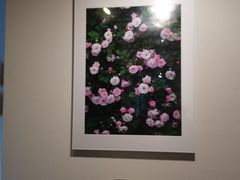 -花迹(富春江东街店)