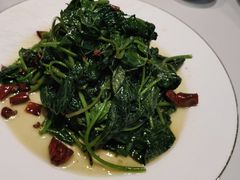 -蜀阳餐厅·金牌水煮鱼