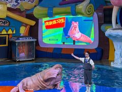 -海合安武汉极地海洋公园