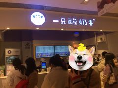 门面-一只酸奶牛(时代天街A馆店)