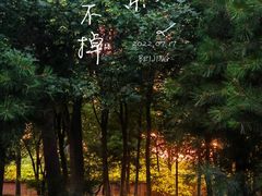 -东升八家郊野公园